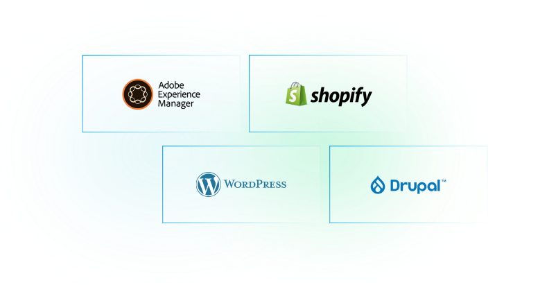 Content Management Systems