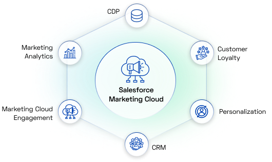 Individual Salesforce Products